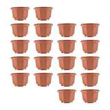 Maxbell 20x Flower Pots Modern Containers with Drain Holes for Shelf Balcony Desktop 17cmx10cm