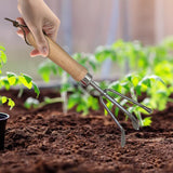 Maxbell Manual Weeder Multipurpose Portable Weed Remover for Farm Gardening Driveway
