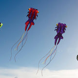 Maxbell Goldfish Large Kite 3D Outdoor Games and Activities for Beach Amusement Park Red Purple