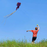 Maxbell Goldfish Large Kite 3D Outdoor Games and Activities for Beach Amusement Park Purple