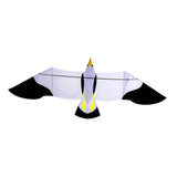 Maxbell Eagle Kite Easy to Fly 2x0.7M Flying Toy for Park Beach Trip Family Activity