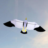 Maxbell Eagle Kite Easy to Fly 2x0.7M Flying Toy for Park Beach Trip Family Activity