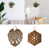 Maxbell Fern Mounting Board Wall Planter for Indoor Gardening Space Saving Versatile Leaf Shape