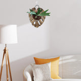 Maxbell Fern Mounting Board Wall Planter for Indoor Gardening Space Saving Versatile Leaf Shape
