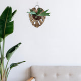 Maxbell Fern Mounting Board Wall Planter for Indoor Gardening Space Saving Versatile Leaf Shape