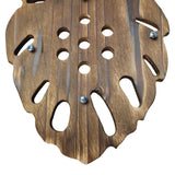 Maxbell Fern Mounting Board Wall Planter for Indoor Gardening Space Saving Versatile Leaf Shape