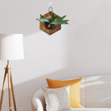 Maxbell Fern Mounting Board Wall Planter for Indoor Gardening Space Saving Versatile Hexagonal