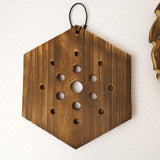 Maxbell Fern Mounting Board Wall Planter for Indoor Gardening Space Saving Versatile Hexagonal