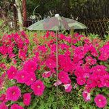 Maxbell Plant Umbrella for Outdoor Decor with Stake for Yard Flowers Potted Backyard