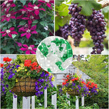 Maxbell 10x Plant Stem Training Clips Reusable Shaping Support Agricultural Supplies Green