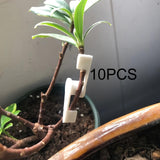 Maxbell 10x Plant Stem Training Clips Reusable Shaping Support Agricultural Supplies White