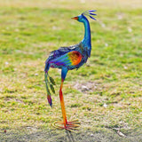 Maxbell Peacock Statue DIY Decorative Craft Animal Sculpture for Garden Balcony Lawn