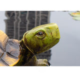 Maxbell Garden Turtle Statue Fake Tortoise Ornament for Outdoor Courtyard