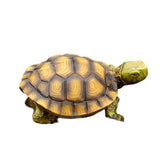 Maxbell Garden Turtle Statue Fake Tortoise Ornament for Outdoor Courtyard