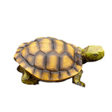 Maxbell Garden Turtle Statue Fake Tortoise Ornament for Outdoor Courtyard