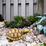 Maxbell Garden Turtle Statue Fake Tortoise Ornament for Outdoor Courtyard