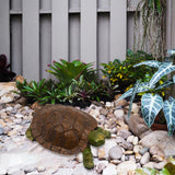 Maxbell Garden Turtle Statue Fake Tortoise Ornament for Outdoor Courtyard