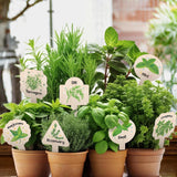 Maxbell 15x Plant Label Signs Reusable Plant Labels for Garden Potted Plants Flowers