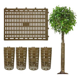 Maxbell 5Pcs Expandable Plant Cover Garden Lawn Saplings Tree Trunk Guard Protectors Brown