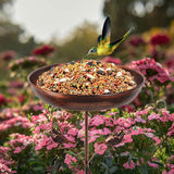 Maxbell Garden Bird Bath Versatile Garden Decor for Lawn Backyard Courtyard