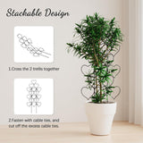 Maxbell 2 Pieces Plant Trellis Metal Garden Trellis for Potted Plants Pothos Jasmine Black