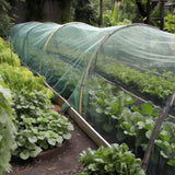 Maxbell Garden Netting Barrier 2.4M Width Row Cover for Raised Beds Blueberry Bushes Length 6M Green
