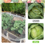 Maxbell Garden Netting Barrier 2.4M Width Row Cover for Raised Beds Blueberry Bushes Length 6M White