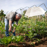 Maxbell 3x Plant Umbrellas Decor Garden Umbrellas for Potted Plants Backyard Outdoor