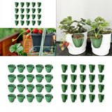 Maxbell 20 Pieces Strawberry Nursery Pots Cup Accessory Multifunctional Side Hanging Size L
