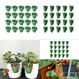 Maxbell 20 Pieces Strawberry Nursery Pots Cup Accessory Multifunctional Side Hanging Size L