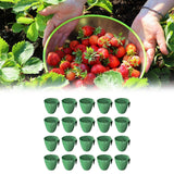 Maxbell 20 Pieces Strawberry Nursery Pots Cup Accessory Multifunctional Side Hanging Size L