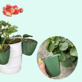 Maxbell 20 Pieces Strawberry Nursery Pots Cup Accessory Multifunctional Side Hanging Size L