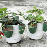 Maxbell 20 Pieces Strawberry Nursery Pots Cup Accessory Multifunctional Side Hanging Size S