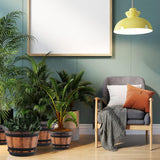 Maxbell Plant Pot Decor with Drainage Holes Saucer for Garden Home Plants Yard Hotel 17.63 cmx17 cm