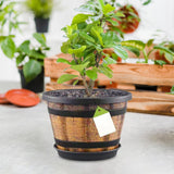 Maxbell Plant Pot Decor with Drainage Holes Saucer for Garden Home Plants Yard Hotel 21.15 cmx20.9 cm