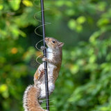 Maxbell Squirrels Baffle Accessory Anti Squirrel Spring Device for Outdoor Hook Yard