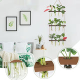 Maxbell Plant Propagation Station Planter Hanging Propagator for Home Garden Desktop