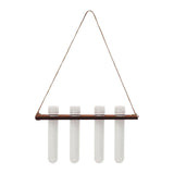 Maxbell Plant Propagation Station Planter Hanging Propagator for Home Garden Desktop
