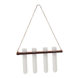 Maxbell Plant Propagation Station Planter Hanging Propagator for Home Garden Desktop