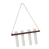 Maxbell Plant Propagation Station Planter Hanging Propagator for Home Garden Desktop