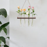 Maxbell Plant Propagation Station Planter Hanging Propagator for Home Garden Desktop