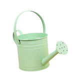 Maxbell Watering Can Gifts Comfortable Handle Long Spout for Home Garden House Plant Green