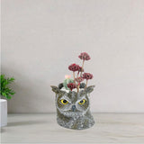 Maxbell Owl Planter Small Flower Pot Resin Sculpture for Entrance, TV Cabinet Rustic