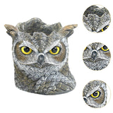 Maxbell Owl Planter Small Flower Pot Resin Sculpture for Entrance, TV Cabinet Rustic