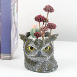 Maxbell Owl Planter Small Flower Pot Resin Sculpture for Entrance, TV Cabinet Rustic