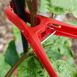 Maxbell 50Pcs Plant Clips Garden Clamps for Straightening Trellis Backyard Gardening