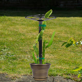 Maxbell Dragon Fruit Trellis Versatile Garden Trellis for Cucumbers Backyard Flowers