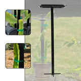 Maxbell Dragon Fruit Trellis Versatile Garden Trellis for Cucumbers Backyard Flowers