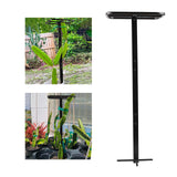 Maxbell Dragon Fruit Trellis Versatile Garden Trellis for Cucumbers Backyard Flowers