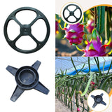 Maxbell Dragon Fruit Trellis Plant Trellis for Potted Plants for Fruits Yard Balcony top